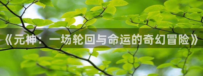 极悦娱乐代理登陆