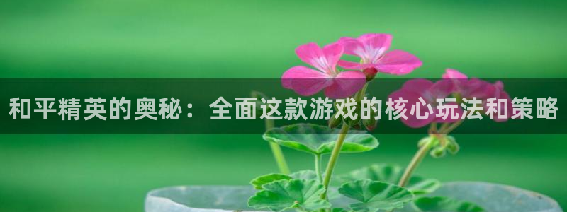极悦娱乐什么意思