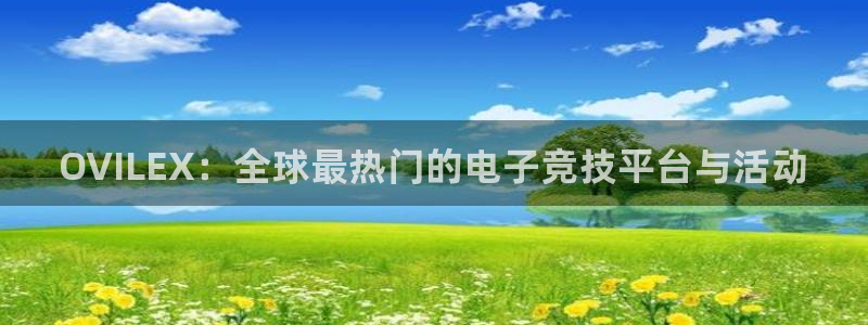 极悦娱乐注册服务条款：OVILEX：全球最热门的电子竞技平台