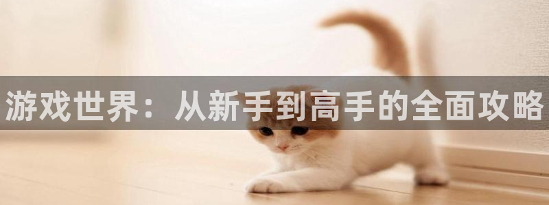 极悦娱乐官方登录网址