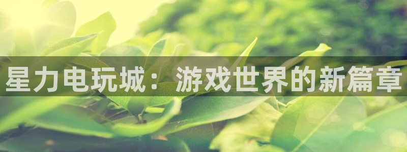 极悦娱乐平台登录入口：星力电玩城：游戏世界的新篇章