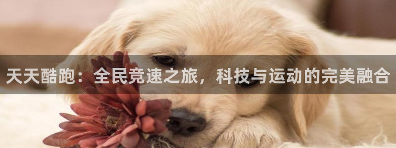 极悦娱乐：天天酷跑：全民竞速之旅，科技与运动的完美融合