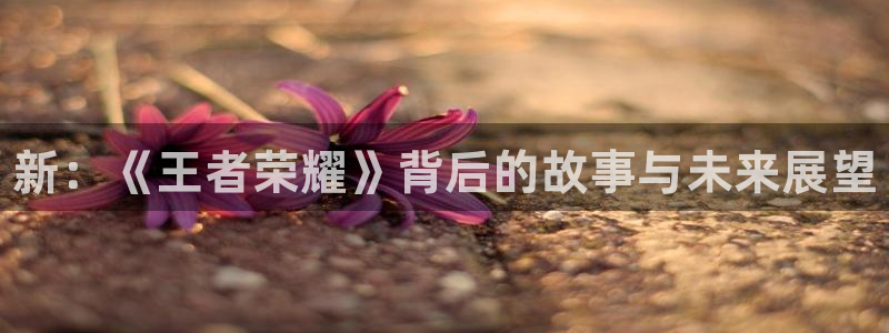极悦娱乐开户测速：新：《王者荣耀》背后的故事与未来展望