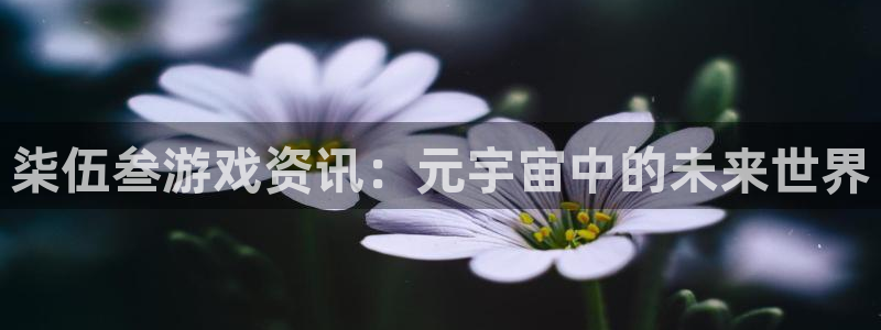 极悦娱乐平台登陆：柒伍叁游戏资讯：元宇宙中的未来世界