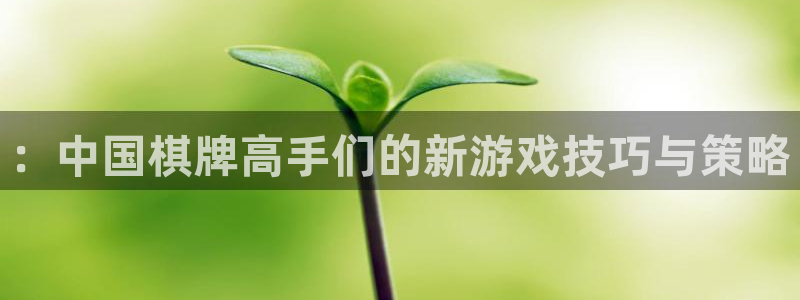 极悦娱乐线路测试：：中国棋牌高手们的新游戏技巧与策略