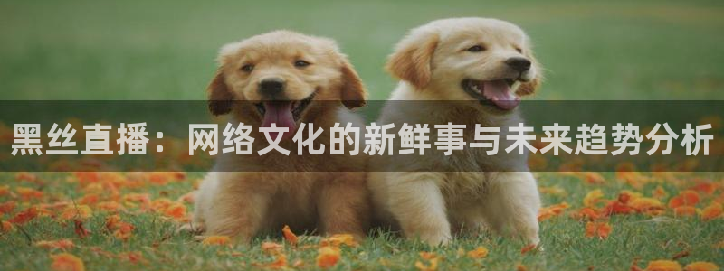 玩球直播app下载安装