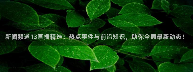 nba总决赛玩球直播：新闻频道13直播精选：热点事件与前沿知识，助你全面最新动态！