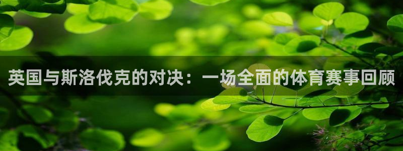 玩球直播在线：英国与斯洛伐克的对决：一场全面的体育赛事回顾