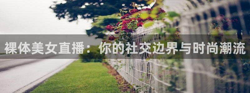 玩球直播在线观看免费观看