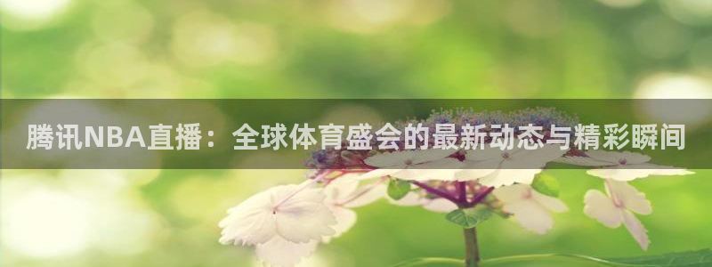 玩球的直播平台：腾讯NBA直播：全球体育盛会的最新动态与精彩瞬间