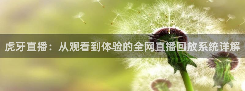 玩球体育app下载：虎牙直播：从观看到体验的全网直播回放系统详解