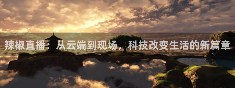 玩球直播观看：辣椒直播：从云端到现场，科技改变生活的新篇章