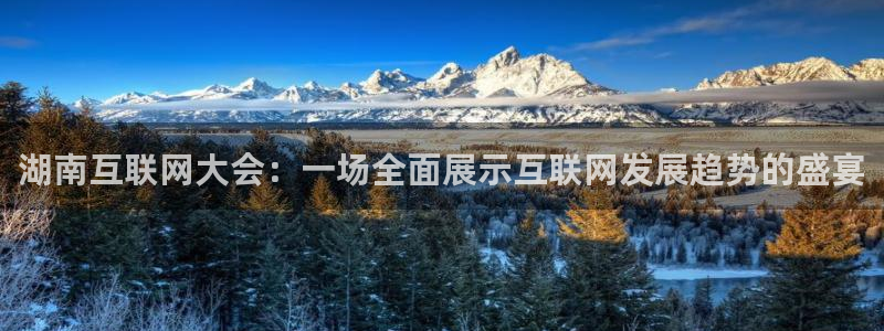 玩球直播app官方版下载：湖南互联网大会：一场全面展示互联网发展趋势的盛宴