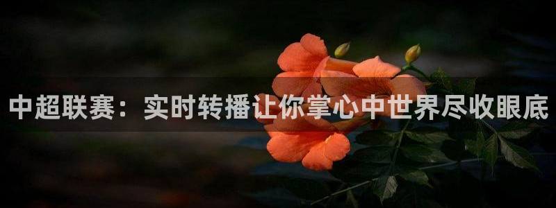 nba直播玩球直播：中超联赛：实时转播让你掌心中世界尽收眼底