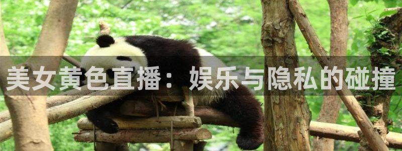 玩球体育直播吧：美女黄色直播：娱乐与隐私的碰撞