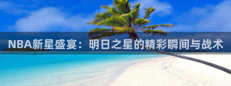 玩球直播免费高清在线：NBA新星盛宴：明日之星的精彩瞬间与战术