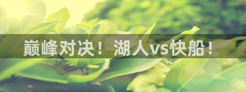 玩球直播网站：巅峰对决！湖人vs快船！