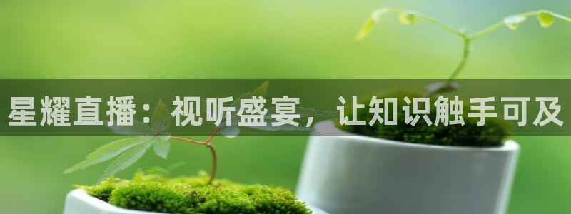 玩球直播app免费下载：星耀直播：视听盛宴，让知识触手可及