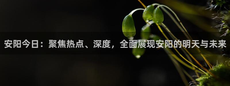 玩球直播观看：安阳今日：聚焦热点、深度，全面展现安阳的明天与未来